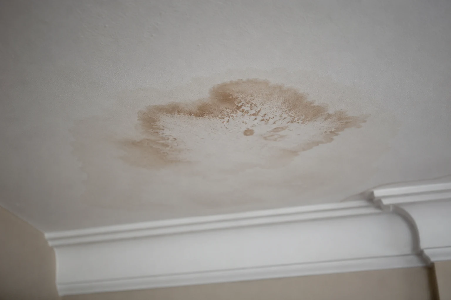 A water stain on a ceiling below a London bathroom, an early warning sign of a leak